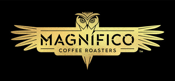 Magnifico Coffee Roaster & Coffee Shop